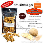 แคปซูล ว่านชักมดลูก แคปซูล บรรจุ 100 เม็ด บด100% บรรจุแคบซูลขนาด 250 มก