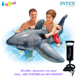 Intex ส่งฟรี แพยางปลาฉลามขาวยักษ์ รุ่น 57525 + ที่สูบลมดับเบิ้ลควิ๊ก วัน