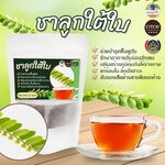 ชาชงลูกใต้ใบ ชาลูกใต้ใบ ชาสมุนไพรแบบซอง ไม่มีน้ำตาล ปลอดสารพิษ สนับสนุนชุมชน