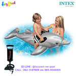 Intex Lil' Dolphin Ride-On Grey no.58535 Free DQI Air Pump