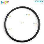 Intex Titanium Electrode O-Ring No.11585