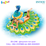 Intex Peacock Island 1.93x1.63x0.94 m. no.57250