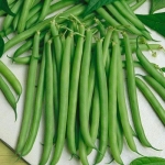 เมล็ดพันธุ์ ถั่วแขก