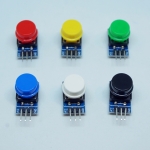 Push bottom switch module