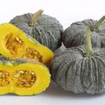 เมล็ดพันธุ์ ฟักทอง