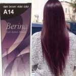 ครีมย้อมผม เบอริน่า A14