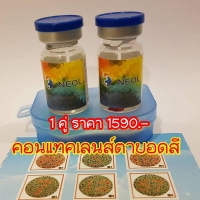 ร้านตาบอดสี คอนแทคเลนส์ตาบอดสี แว่นตาคนตาบอดสี สีแดงเขียว