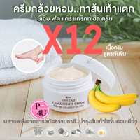 (ยกโหล ราคาส่ง)