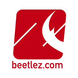 BEETLE Z