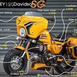 ชุดแต่งMonQeyKingBKK monkey125