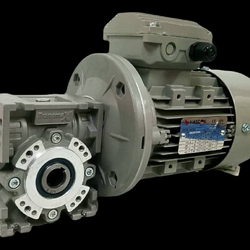 Motor Gear MHR030 i=10+Motor 1/4HP