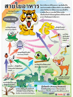 โปสเตอร์ความรู้ สายใยอาหาร No.104