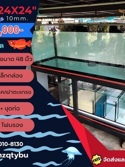 TP Service บริการรับติดตั้งตู้ปลา รับทำบ่ปลาคราฟ ตู้ปลาขนาด 72x24x24 Glass 12 mm.