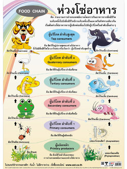 โปสเตอร์ความรู้ ห่วงโซ่อาหาร No.103