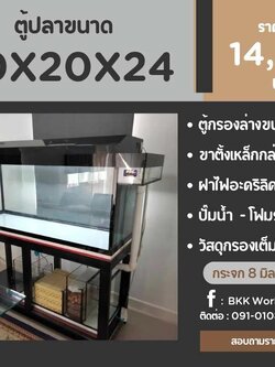 TP Service บริการรับติดตั้งตู้ปลา รับทำบ่ปลาคราฟ ตู้ปลาขนาด 60x20x24
