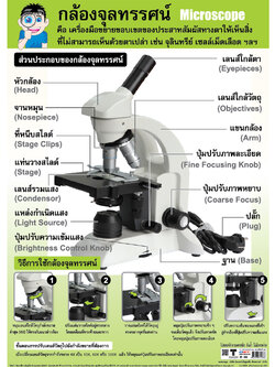 โปสเตอร์ความรู้ กล้องจุลทรรศน์ No.166