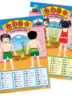 โปสเตอร์ความรู้ ร่างกายของฉัน-ภาษาจีน