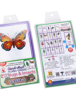 บัตรคำ Flashcards ชุดแมลง Bug&Insects