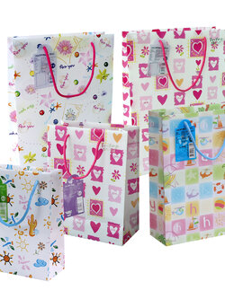 Shopping Bag with rope handle SB Series