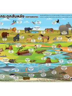 Vertebrates Animals Educational Posters No.578