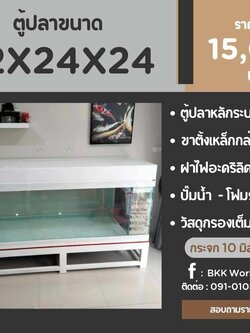 TP Service บริการรับติดตั้งตู้ปลา รับทำบ่ปลาคราฟ ตู้ปลาขนาด 72x24x24