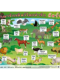 Terrestrial Animals Educational Posters No.386