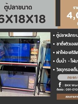 TP Service บริการรับติดตั้งตู้ปลา รับทำบ่ปลาคราฟ ตู้ปลาขนาด 36x18x18