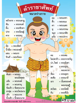 โปสเตอร์ความรู้ คำราชาศัพท์หมวดร่างกาย No.150