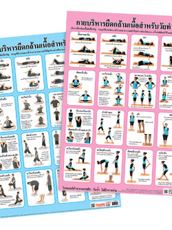 โปสเตอร์ความรู้ กายบริหารยืดกล้ามเนื้อ