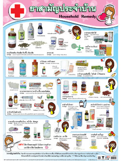 โปสเตอร์ความรู้ ยาสามัญประจำบ้าน No.109