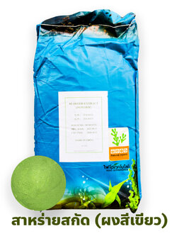 (New) Green Seaweed Extract Powder ผงสาหร่ายสกัด สีเขียว (จีน) ละลายน้ำ 100% บรรจุ 25 กก.
