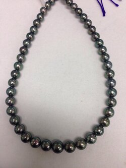 ไข่มุก south sea ขนาด 8-11 มิล กลม สีดำอมเขียว AA++