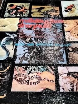 การใช้สมุนไพรรักษาคนไข้ถูกงูพิษและสัตว์ร้ายกัดต่อย และรักษาคนไข้ที่รับประทานอาหารพืชและสัตว์ ซึ่งอาจเป็นอันตรายแก่ช๊วิตได้