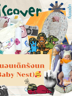 ที่นอนเด็กรังนก (Baby Nest)