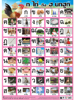 โปสเตอร์ความรู้ ก ไก่ ถึง ฮ นกฮูก No.402