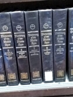 Dictionary of The Middle Ages ( 13 volumes )