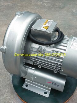 ริงโบลเวอร์ เครื่องเติมอากาศ Siemens made in Germany ขนาด 600 วัตต์ ใช้ไฟสามเฟส 380V ความเร็วรอบ 2900 รอบต่อนาที