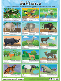 The Wild Animal Sanctuary in Thailand Educational Posters No.275
