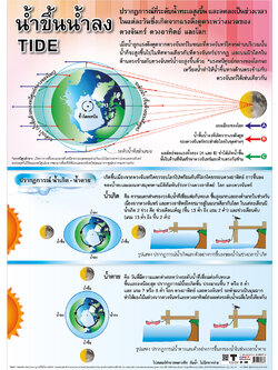โปสเตอร์ความรู้ ปรากฏการณ์น้ำขึ้นน้ำลง No.186