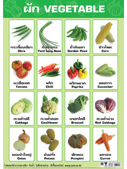 โปสเตอร์ความรู้ คำศัพท์ผัก No.503
