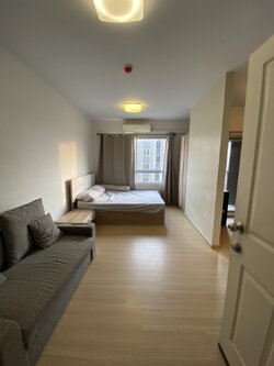 พลัมคอนโด สามัคคี - PLUM CONDO SAMAKKHI (VIP) ห้องจะว่างต้น ก.ย. 68