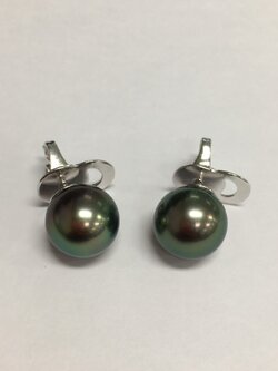 ต่างหูไข่มุก south sea 12-13 มิล กลม สีดำอมเขียว เงามาก เกรด AA++ ก้านเงิน