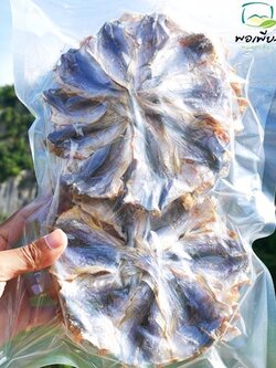 ปลาหัวโม่งตากแห้ง แพค 10วง(ปลีก)