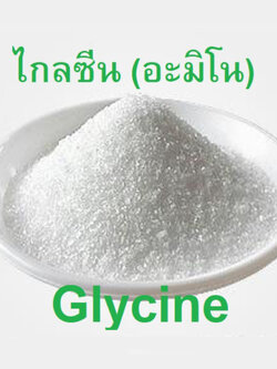 Glycine Amino Acid กรดอะมิโน ไกลซีน 99% ช่วยบำรุงตายอด ตาดอก บรรจุ 1 กิโลกรัม (R)
