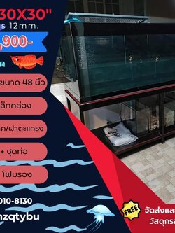 TP Service บริการรับติดตั้งตู้ปลา รับทำบ่ปลาคราฟ ตู้ปลาขนาด 80x30x30 Glass 12 mm.