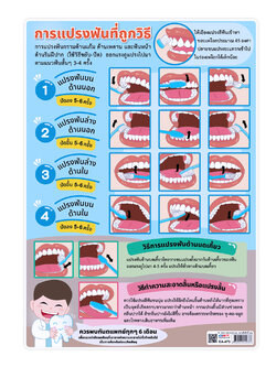 โปสเตอร์ความรู้ การแปรงฟันที่ถูกวิธี EA-473 ขนาดA4