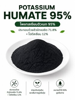Potassium Humate 95% Powder ผงโพแทสเซียมฮิวเมท คุณภาพสูง (ประกอบด้วยฮิวมิกแอซิด 71.8%+โปตัสเซียม 12%) ช่วยปรับปรุงดินและเพิ่มการดูดซึมปุ๋ย ละลายน้ำได้ 99% บรรจุ 1 กิโลกรัม (R)