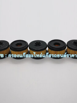 5 ชิ้น ไส้กรองหม้อต้มแก๊ส Valtek (ไม่มีโอลิง)