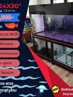 TP Service บริการรับติดตั้งตู้ปลา รับทำบ่ปลาคราฟ ตู้ปลาขนาด 72x24x30 Glass 12 mm.