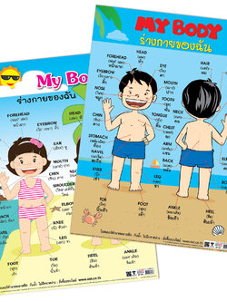 โปสเตอร์ความรู้ ร่างกายของฉัน My Body